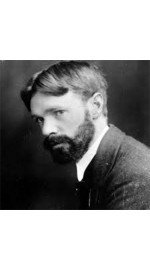 D L Lawrence