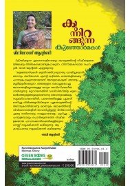 Kunnirangunna kunjormakal 