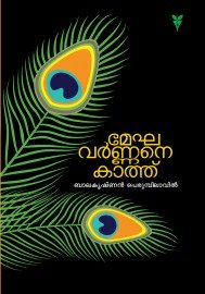Meghavarnane Kathu